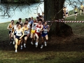 Scottish Cross Country Champs 1987