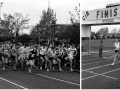 Falkirk pearl assurance half marathon