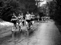 6 stage relays, pollock park, 1985