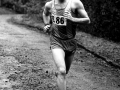 T Wilkie (SV), 6 stage relays, 1985