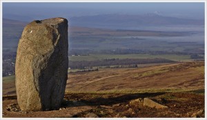 Dumgoyne Stone